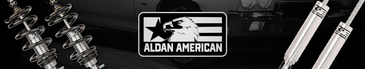 Aldan American Suspension