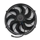 CHFAN100